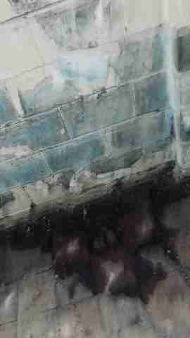 14680 Troester (45).jpg